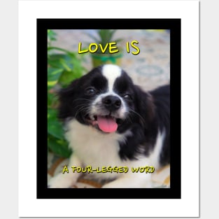 LOVE IS A FOUR-LEGGED WORD Posters and Art